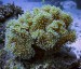 IMG_2858